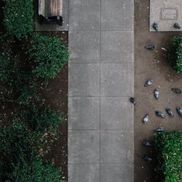 zac-sturgeon-38253-unsplash