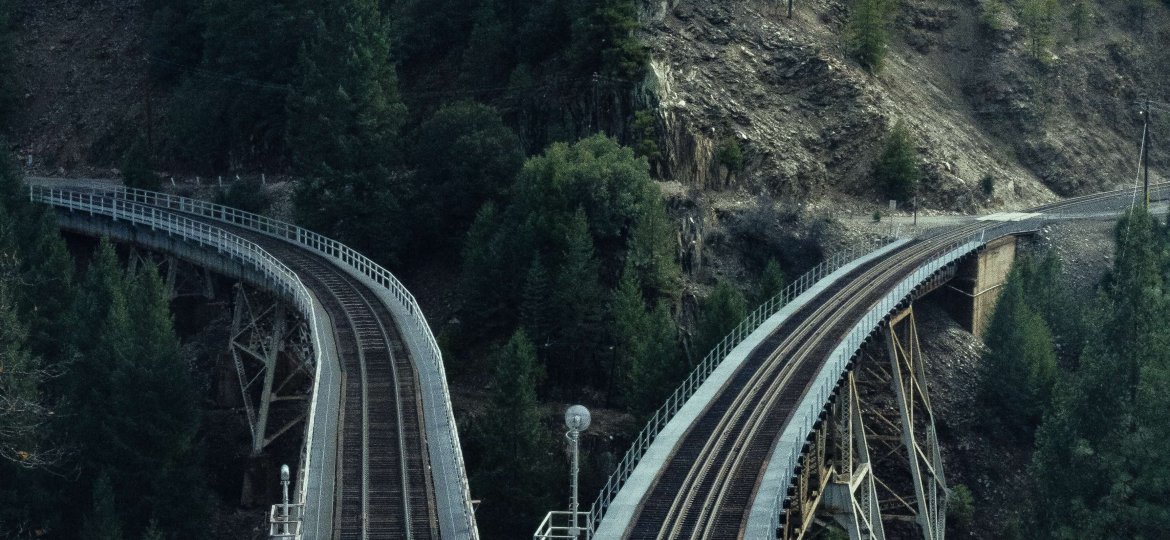 pine-watt-467527-unsplash