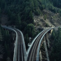 pine-watt-467527-unsplash